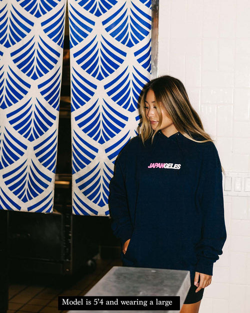 Two Toned Hoodie in Navy with White/Pink